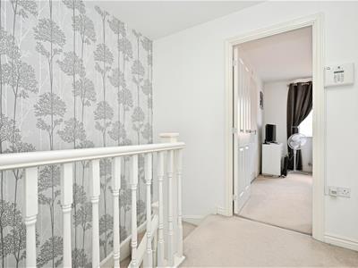 Picture 14